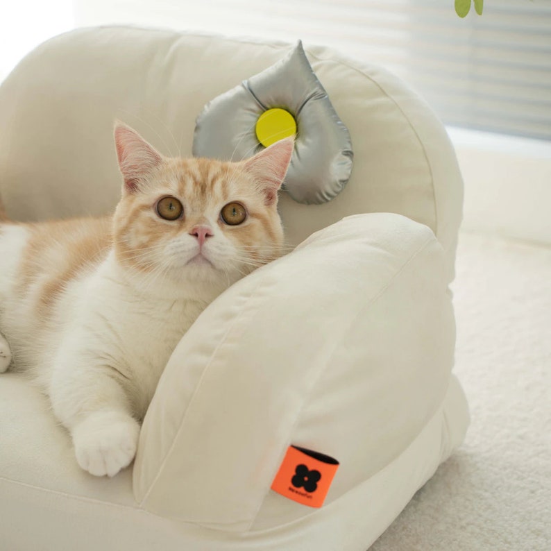 Single Cat Sofa Bed Pet Sofa Cat Bed Cat Couch Cat Etsy