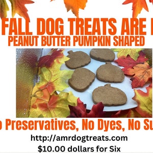 AMR Fall Peanut Butter Dog Treats - Pumpkin Shaped