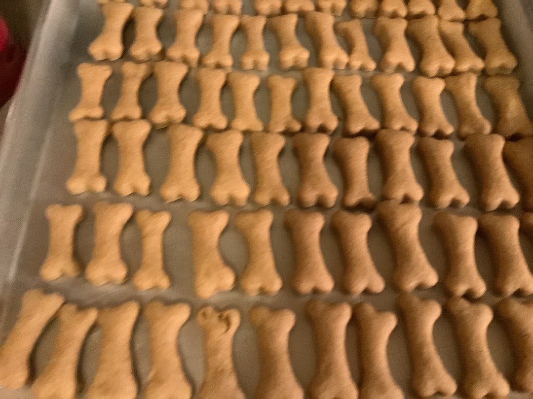 Sample Pack of AMR Peanut Butter and Pumpkin Dog Treats Extrasmall