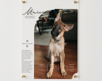 Plakat akrylowy Pet Story - niestandardowy plakat ścienny dla psa - spersonalizowana sztuka ścienna dla zwierząt - sztuka pamiątkowa dla zwierząt - prezent dla miłośnika psów