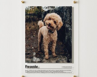 Custom Acrylic Pet Story Poster - Personalized Dog Wall Art - Pet Memorial Gift - Custom Pet Portrait - Dog Lover Gift - Pet Loss Sign