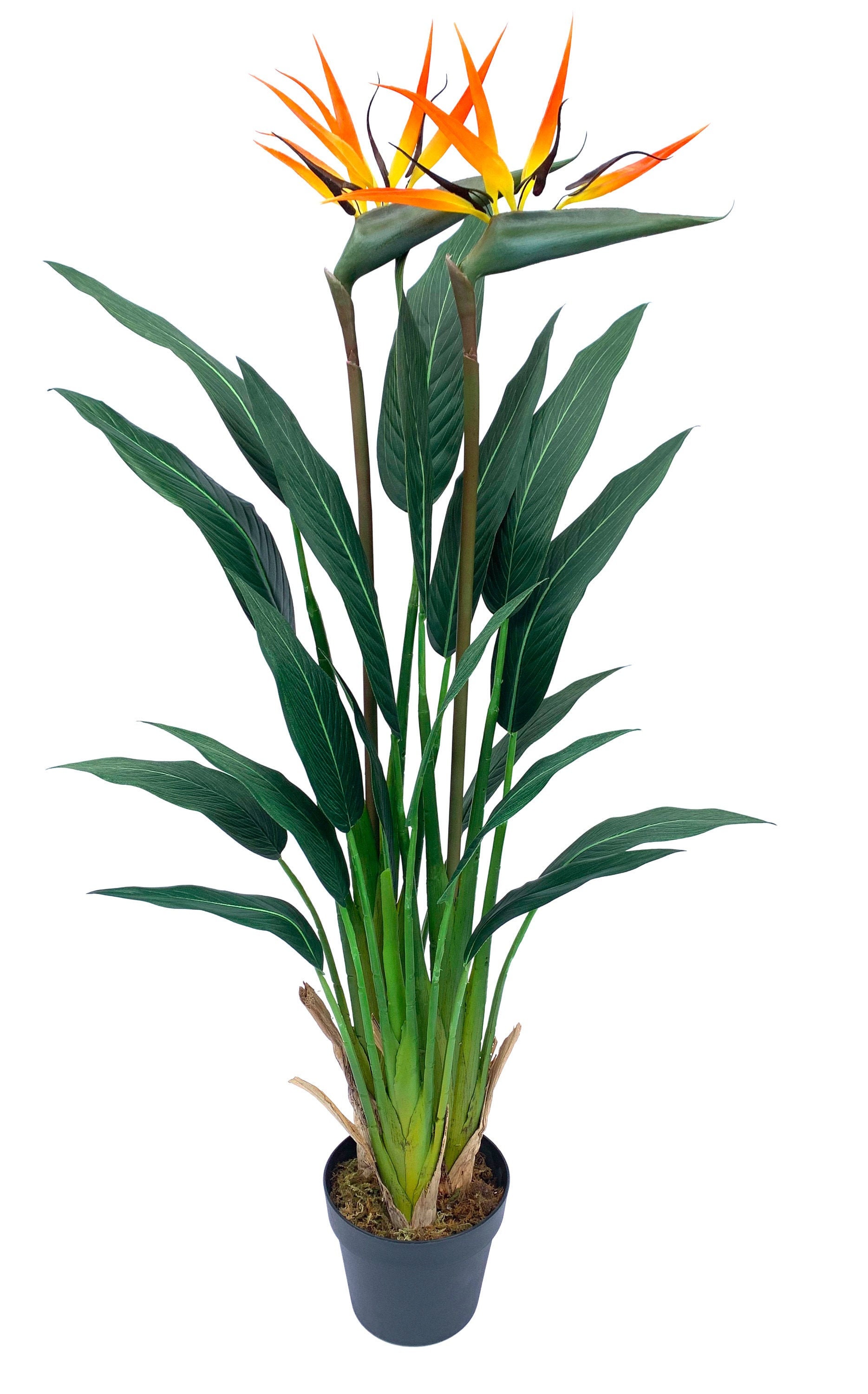 Artificial Silk Bird Of Paradise Palm Tree Potted Plant Lush Etsy