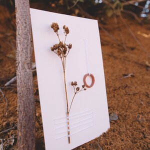 May include: A white card with a dried flower and a small terracotta ring attached with white thread. The card has white stitching across the bottom.