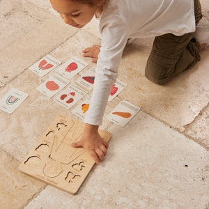 Tarjetas de aprendizaje de órganos, tarjetas educativas preescolares Montessori (turco e inglés)