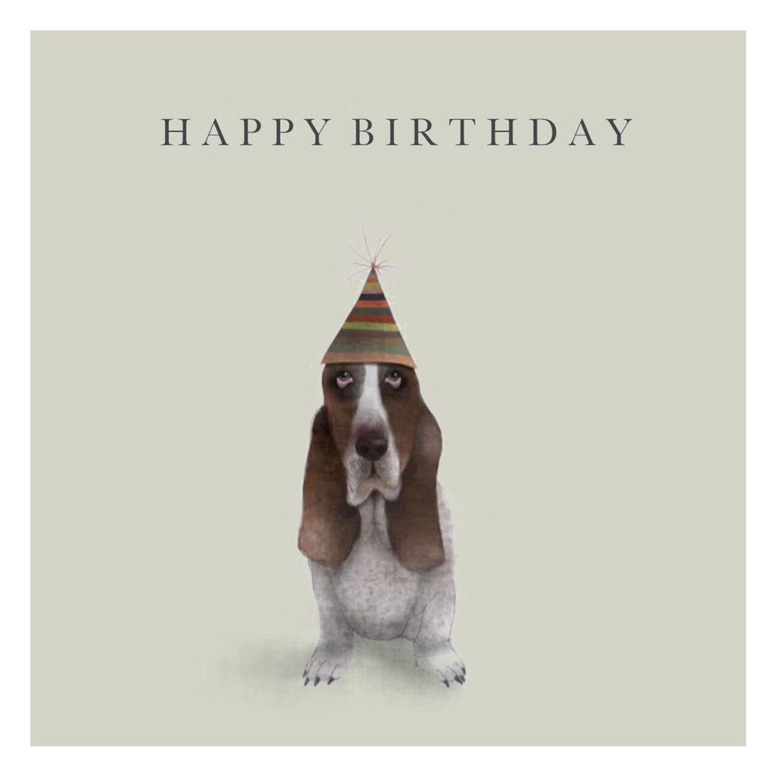 Basset Hound Birthday Card S A L E Etsy
