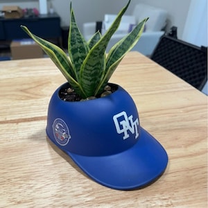 Puede incluir: Una maceta azul en forma de gorra de béisbol con una planta de serpiente verde y amarilla. La maceta tiene letras blancas y un logotipo en el lateral. La maceta está sobre una mesa de madera.