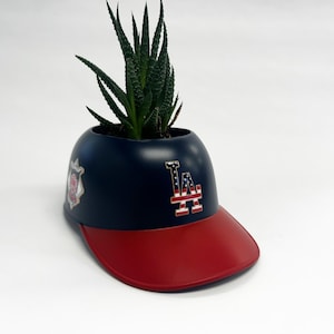 May include: A blue and red baseball cap planter with a succulent plant growing inside. The cap has a white and red "LA" logo with a small American flag design.