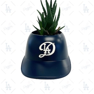 May include: A blue baseball cap planter with a white "LA" logo, featuring a green succulent plant.
