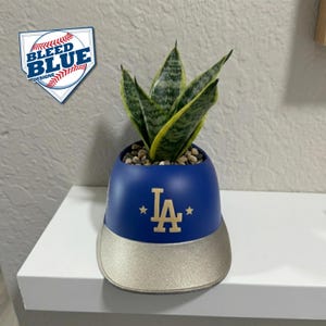 LAD Championship Gold Collection Hat - SMALL Succulent Planter