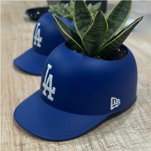 LAD 2025 or 2024 World Champions Hat - SMALL Succulent Planter
