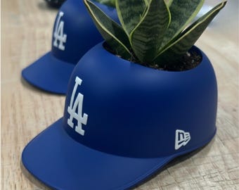 LAD 2025 or 2024 World Champions Hat - SMALL Succulent Planter