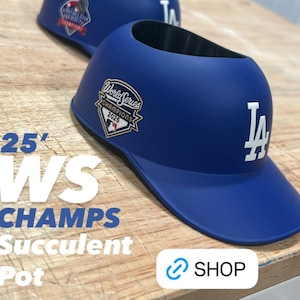 LAD 2025 or 2024 World Champions Hat - SMALL Succulent Planter image 3