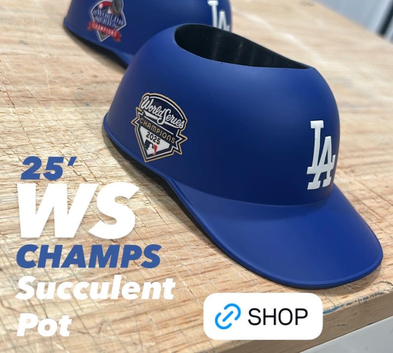 LAD 2025 or 2024 World Champions Hat - SMALL Succulent Planter image 3