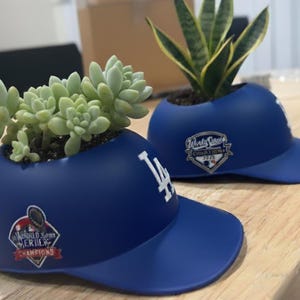 LAD 2025 or 2024 World Champions Hat - SMALL Succulent Planter image 2
