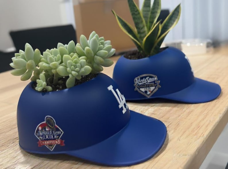 LAD 2025 or 2024 World Champions Hat - SMALL Succulent Planter image 2