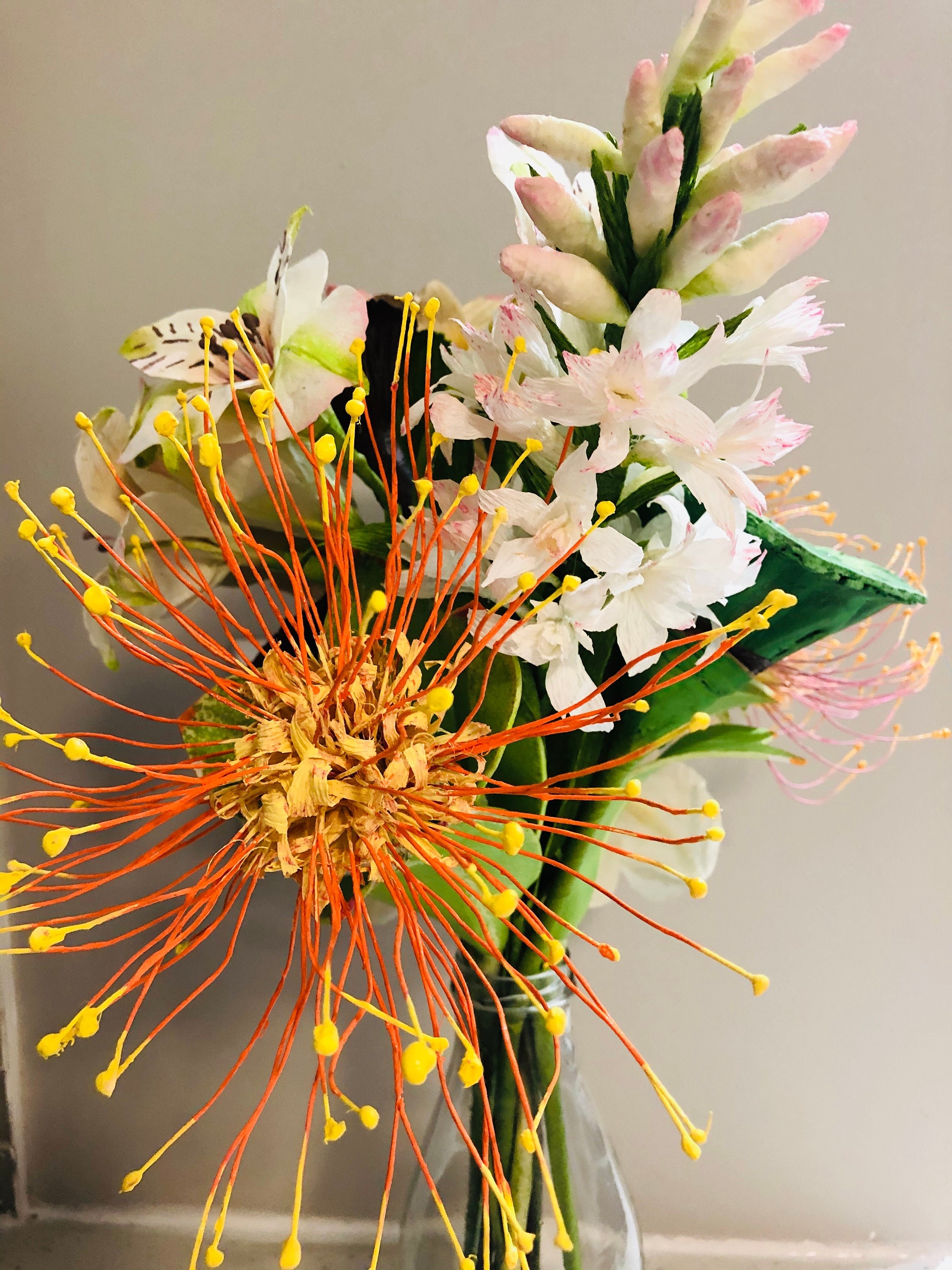 Protea Pin Cushion flower Etsy