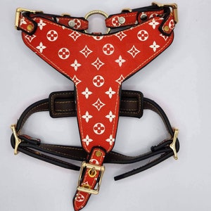 Authentic Gucci Web Stripe Dog Leash and Collar Leather Nylon -  Finland