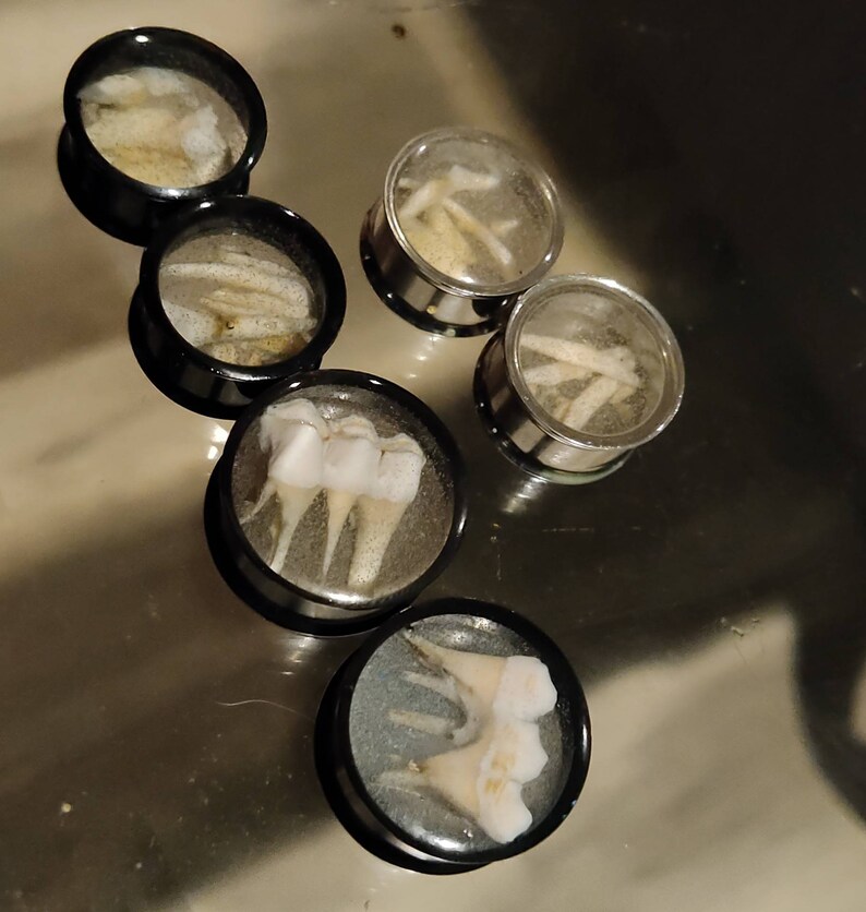 Real teeth bone plugs animal bone plugs glow in the dark plugs Etsy