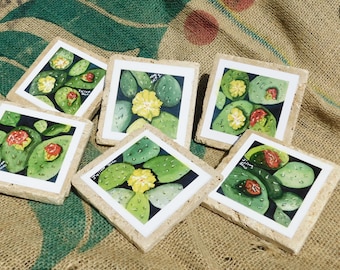 Beautiful 6 Piece Set of Travertine Stone Coasters from the Cactus Flower Collection