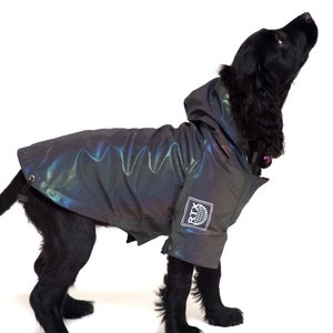 Reflective Showerproof Dog Jacket, dog coat, dog clothing, pet clothes, dog gifts, dog accessories, pet fashion, dog rain coat image 1