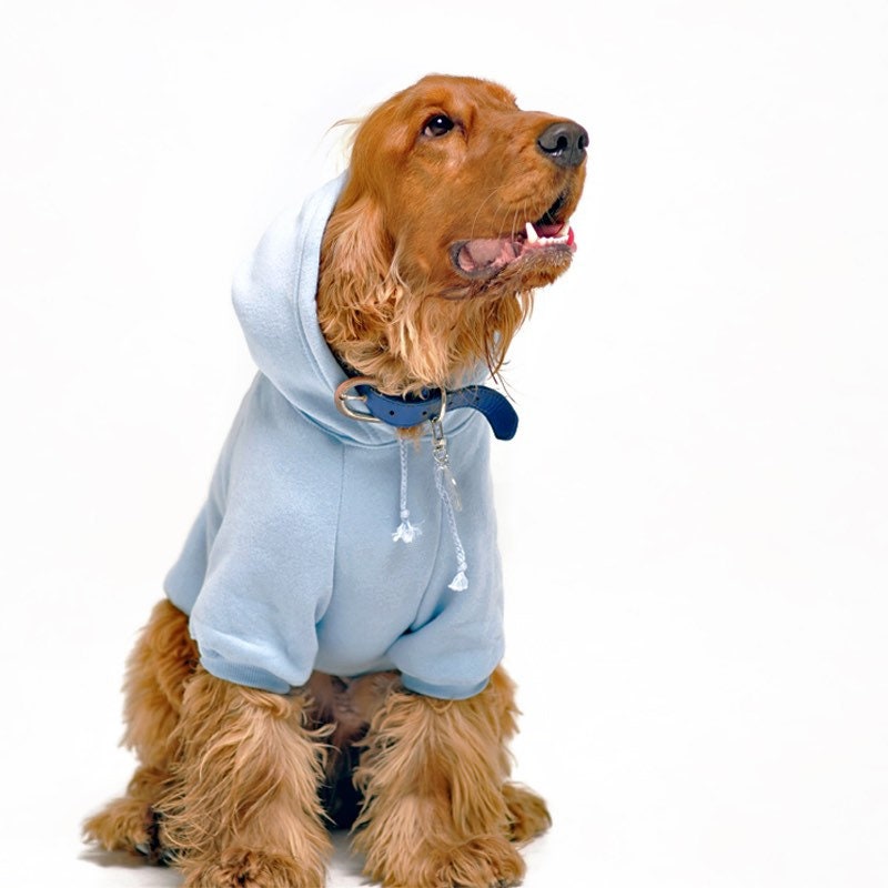 Hond Shiba Inu Dogfather Huisdier Kleding Gender-neutrale kleding volwassenen Hoodies & Sweatshirts Hoodies Unisex Hooded Sweatshirt 
