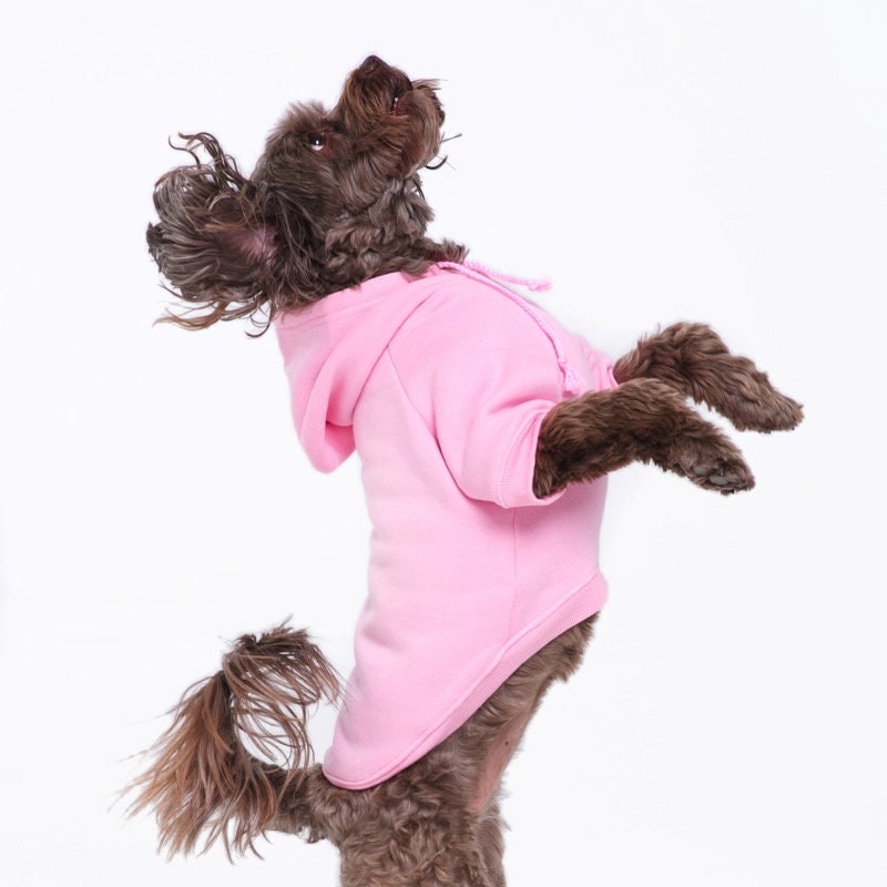 Baby dog coat Etsy España