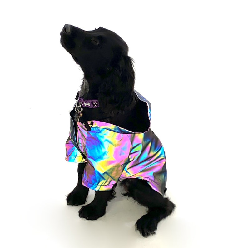 Reflective Showerproof Dog Jacket, dog coat, dog clothing, pet clothes, dog gifts, dog accessories, pet fashion, dog rain coat image 2