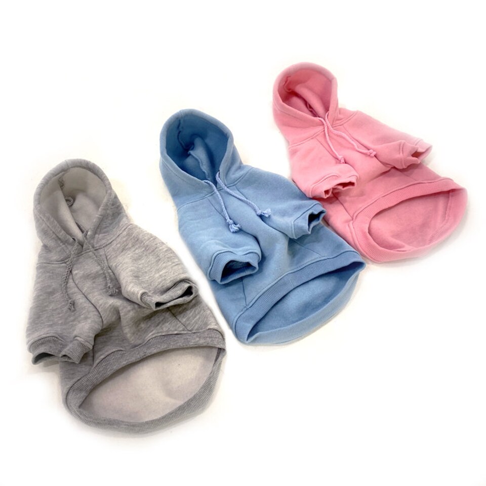 Discover Baby Blue Dog Hoodie