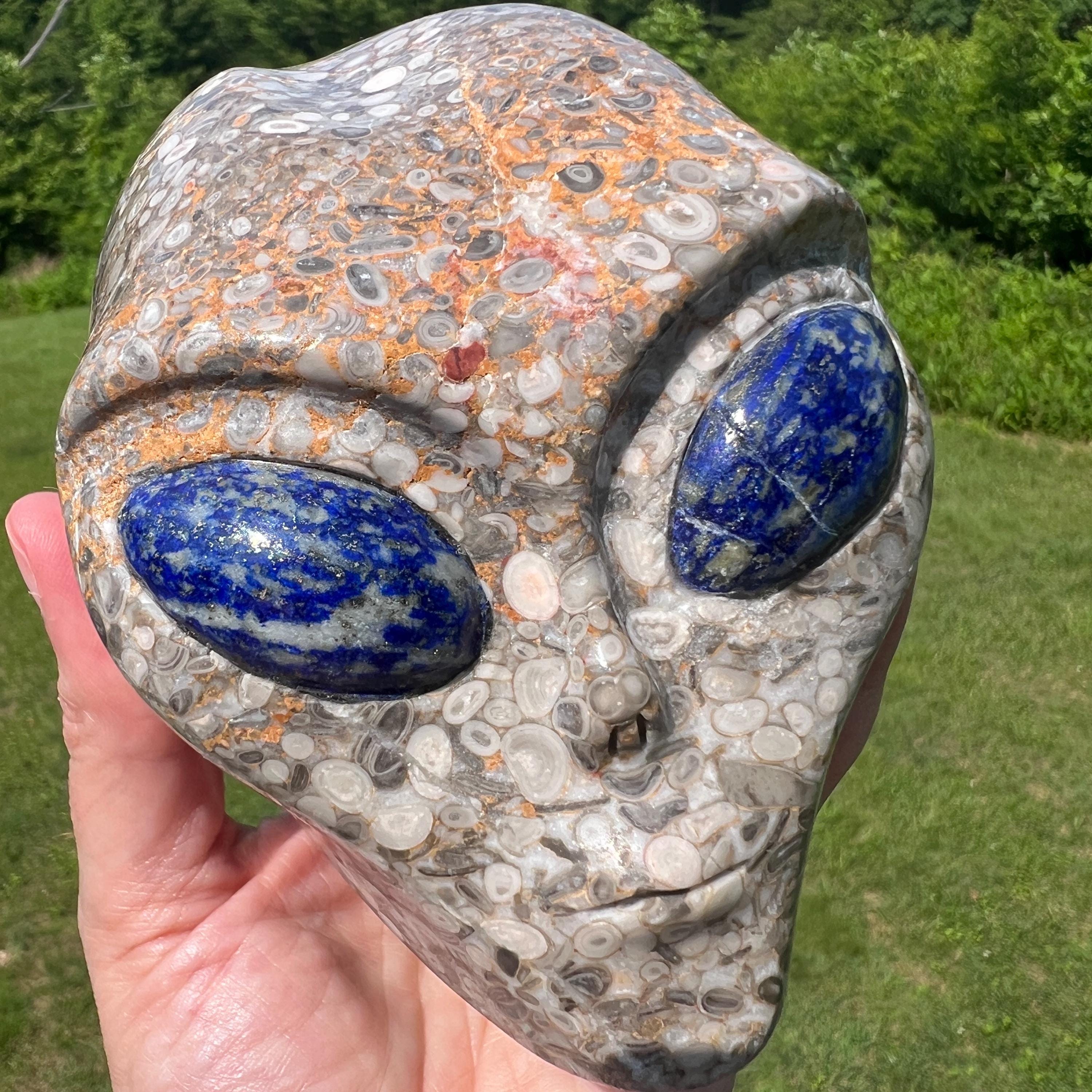 Fossil Alien - Etsy