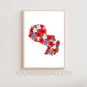 Paraguay Map Outline Painting Print, Paraguayan Travel Souvenir Wall Art, Flag Inspired Decor, South America Printable Download