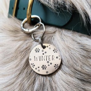 Etiqueta de identificação para cachorro feita à mão e personalizada para inverno