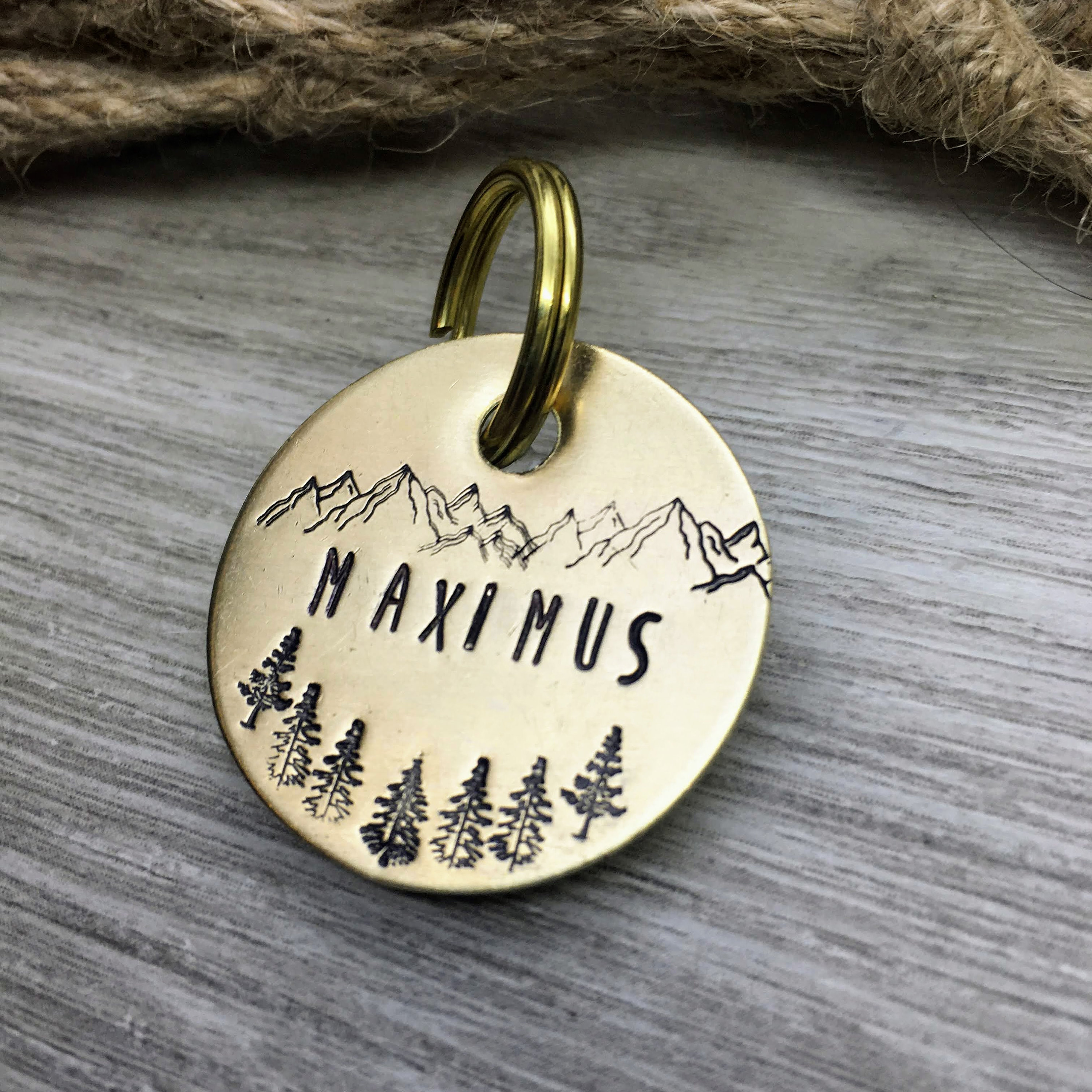 Copper Dog Tag for Collar - Personalized Pet Tag - Kyleemae Designs –  KyleeMae Designs