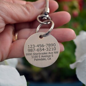 Dog Tag Address Information