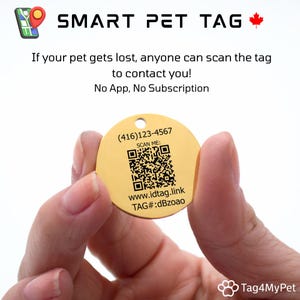 Hand holding a smart pet ID tag with a QR code, phone number, and website, promoting easy contact if a lost pet is found. No app or subscription required.