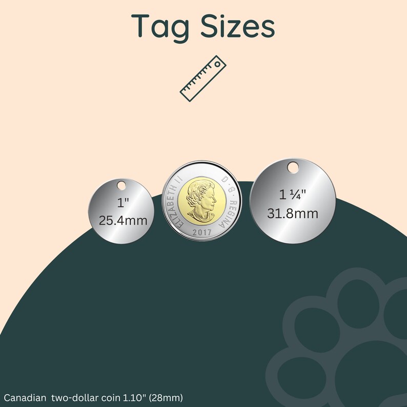 May include: Two silver metal tags with a hole at the top. The tag on the left is 1 inch (25.4 mm) in diameter. The tag on the right is 1 1/4 inches (31.8 mm) in diameter. A Canadian two-dollar coin is shown for size comparison.