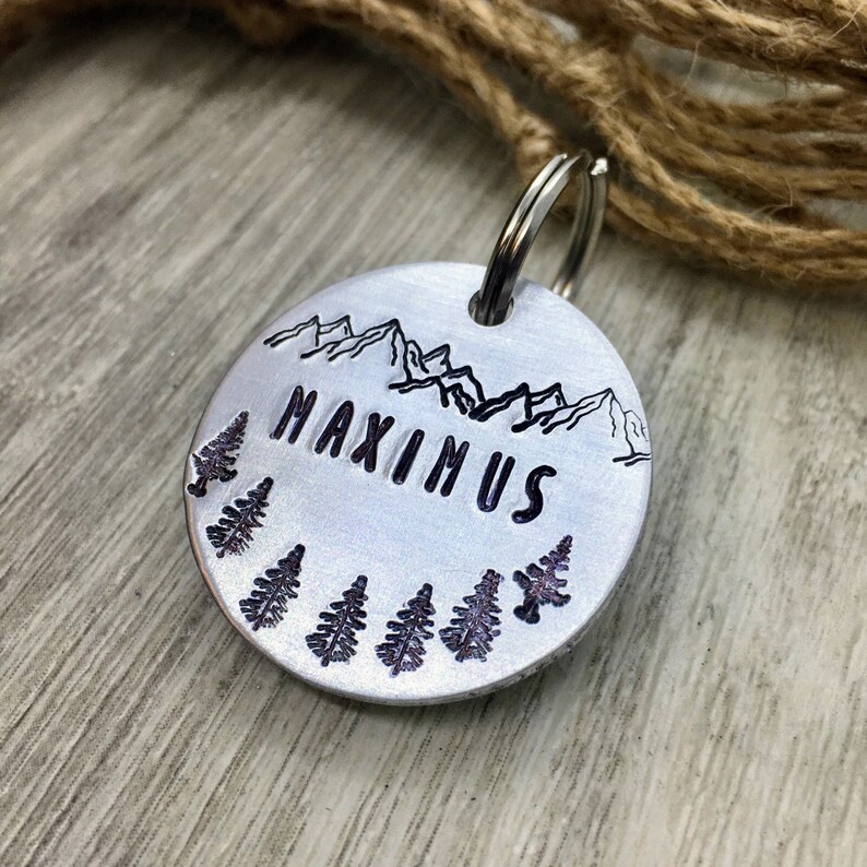 Dog Tag Hand stamped in Silver