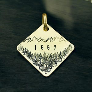 Dog Tag \ Pet ID Tag \ Puppy Tag \ Pet Tag \ Custom Dog Tag \ Dog tag for Collar\ Cat Tag \ Dog Mom \ dog tag engraved \ dog tag collar