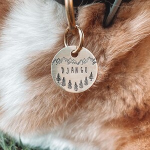 May include: A brass dog tag with a mountain range design and the name "DJANGO" engraved on it. The tag is attached to a brown leather dog collar.