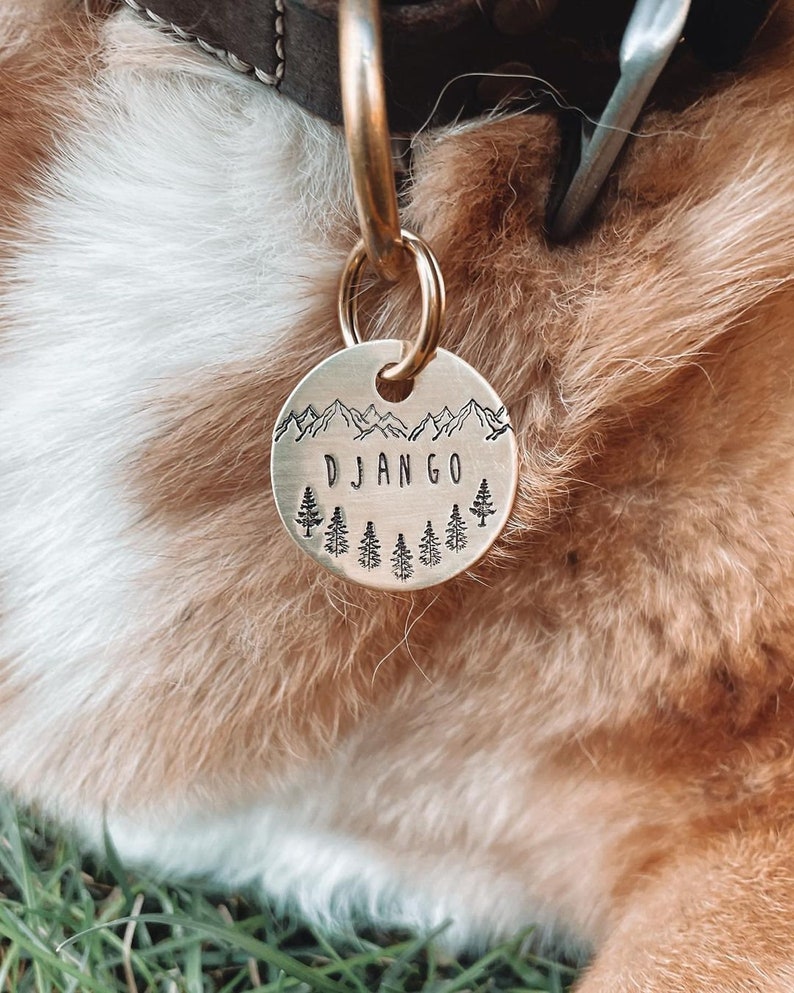 May include: A brass dog tag with a mountain range design and the name "DJANGO" engraved on it. The tag is attached to a brown leather dog collar.