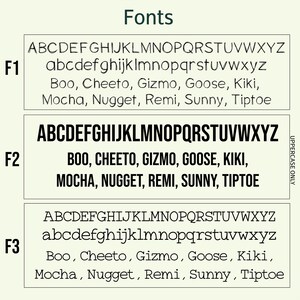 May include: A comparison of three different fonts, labelled F1, F2, and F3. Each font is shown in uppercase and lowercase letters, along with a list of names in the same font. The names are: Boo, Cheeto, Gizmo, Goose, Kiki, Mocha, Nugget, Remi, Sunny, and Tiptoe.