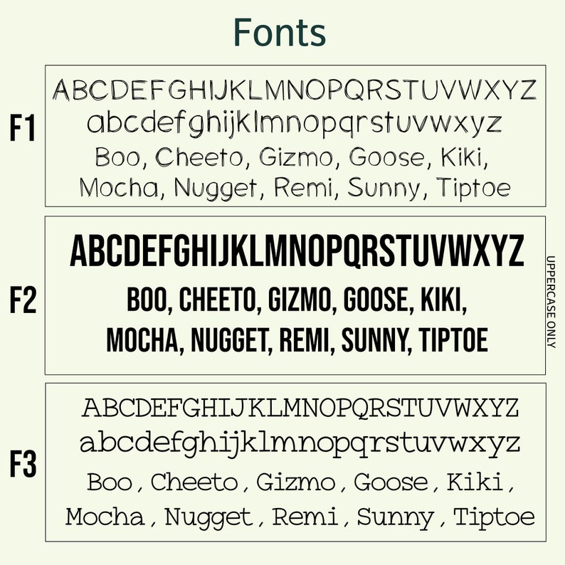 May include: A comparison of three different fonts, labelled F1, F2, and F3. Each font is shown in uppercase and lowercase letters, along with a list of names in the same font. The names are: Boo, Cheeto, Gizmo, Goose, Kiki, Mocha, Nugget, Remi, Sunny, and Tiptoe.