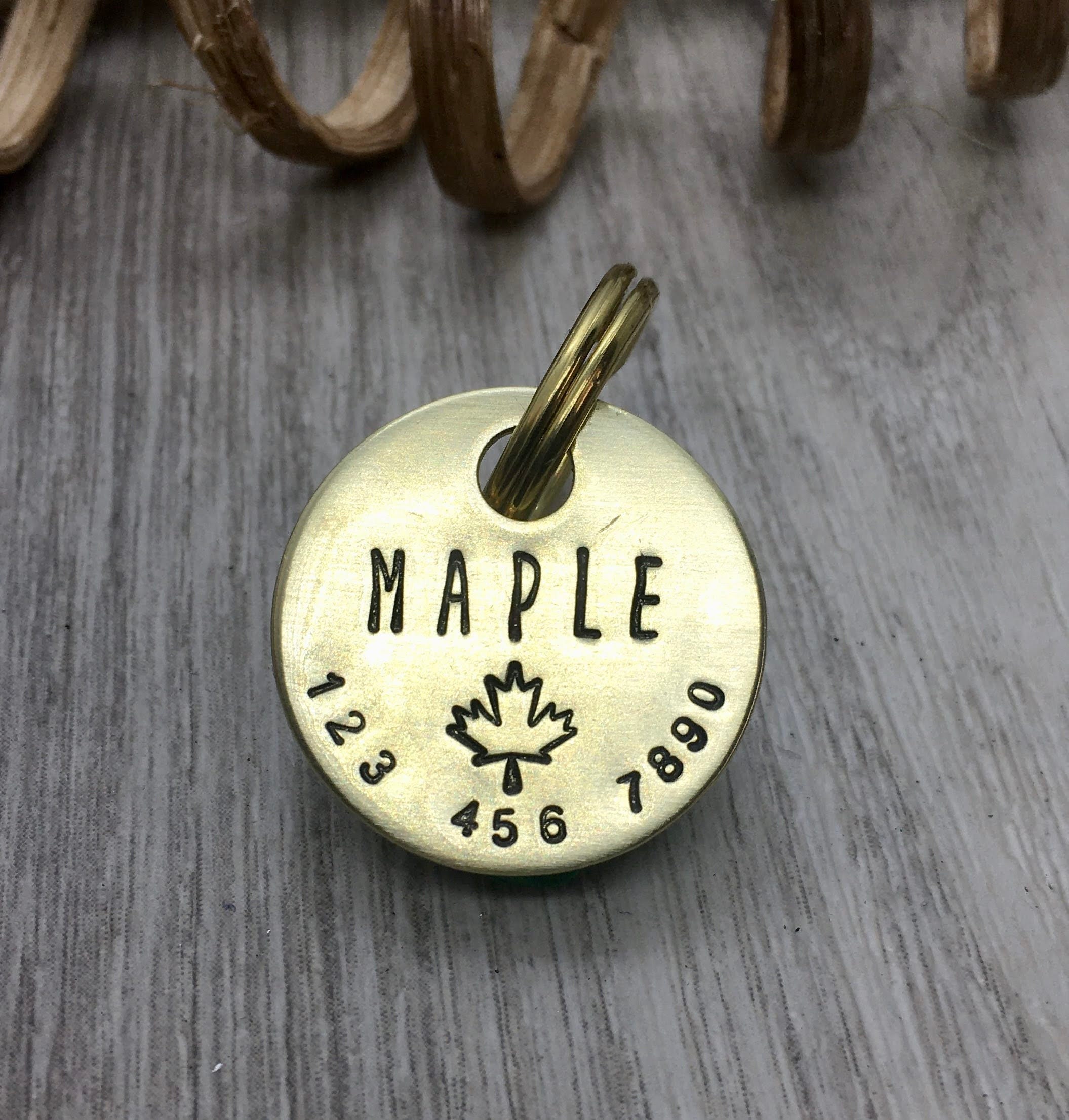 Dog Tag Personalized Gift Dog Collar 