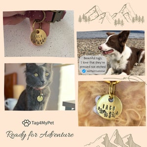 Gold Cat Tags by Tag4MyPet