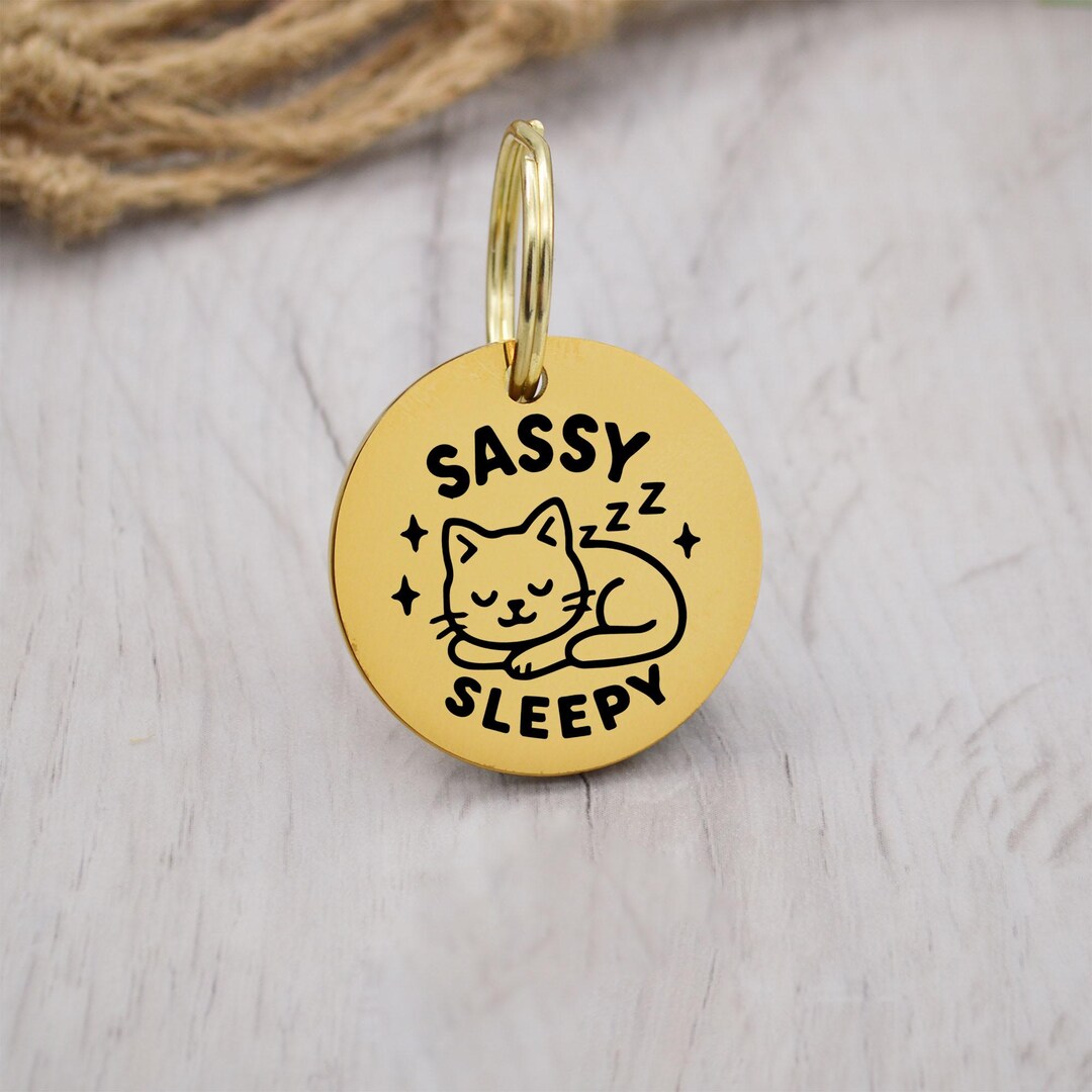 Sassy Sleep Design Engraved Custom Dog Tag Personalized Dog Name Tag ID ...