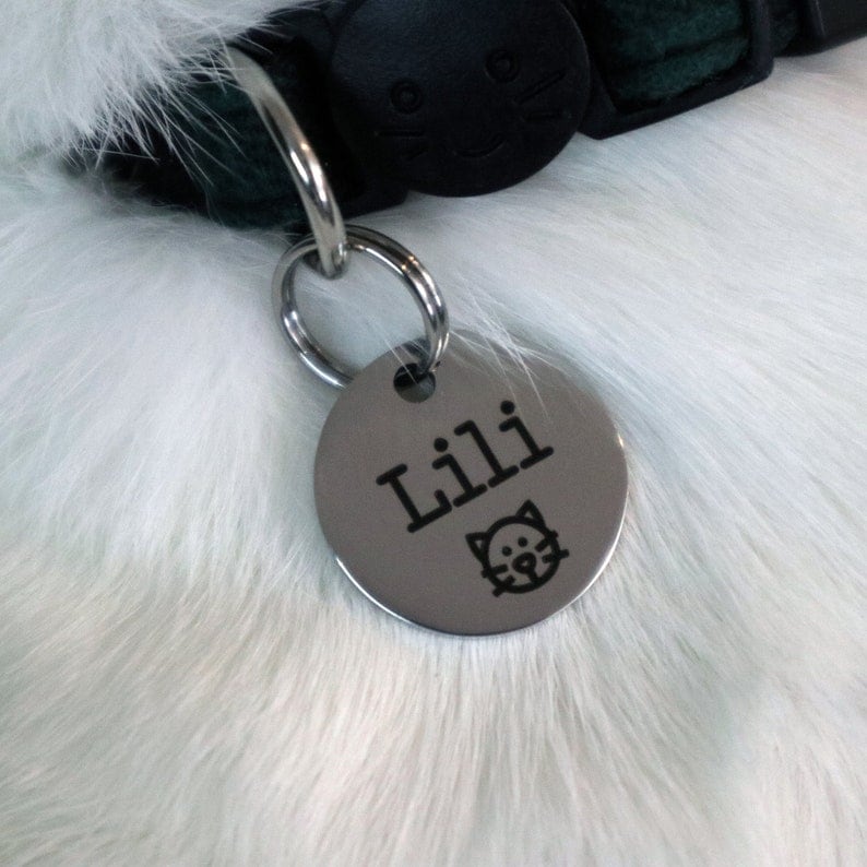 May include: A silver pet ID tag with the name "Lilli" engraved on it. A small cat icon is also engraved on the tag.