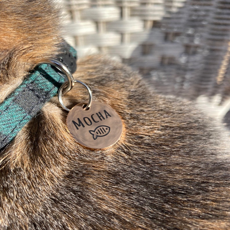 May include: A close-up of a brown and black cat wearing a green and black collar with a round metal tag that says "MOCHA" with a fish icon.