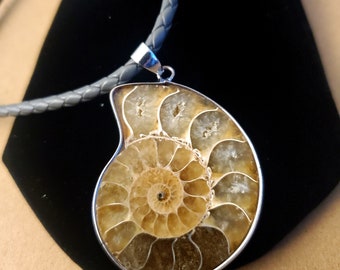 Genuine Stone Shell Necklace