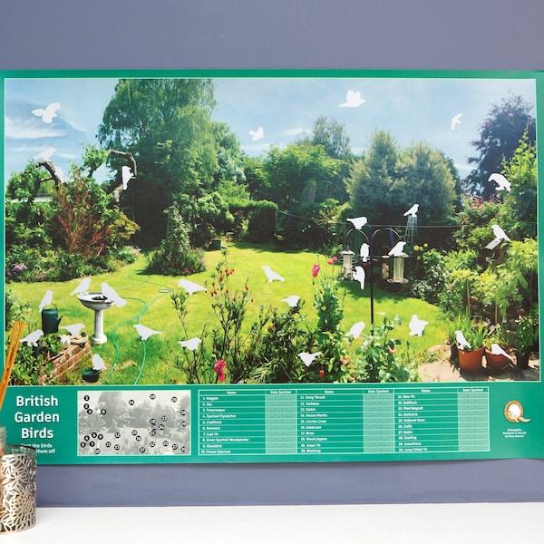 Poster di uccelli da giardino da grattare, Uccelli britannici, Natura, Fauna selvatica, Regalo per nonno, nonna, mamma, papà, bambini, Educativo per bambini