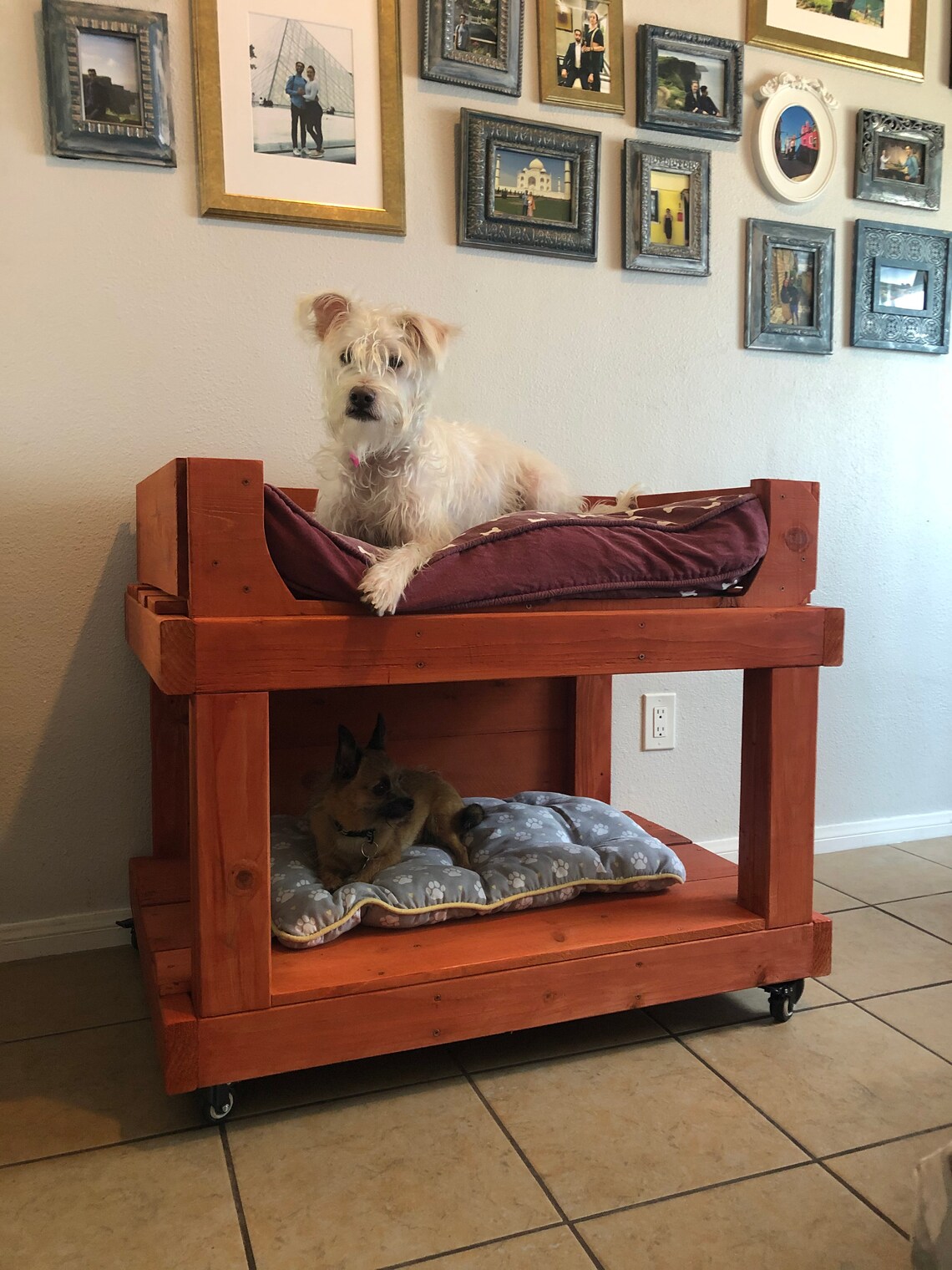 Dog Bunk Bed Etsy