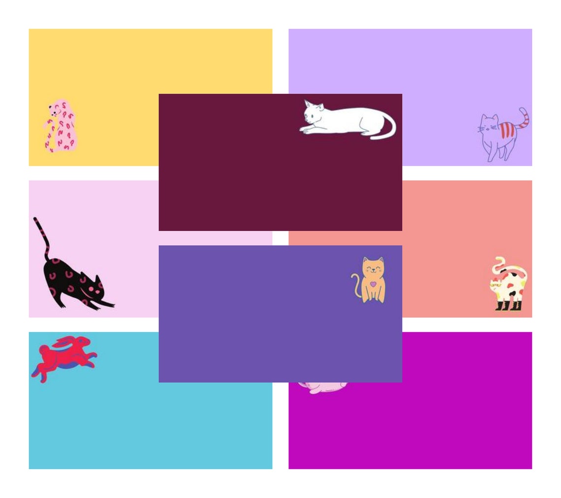 Zoom Background Colorful Cat Animal Collection Student Etsy Singapore